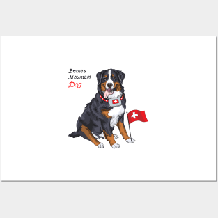 Bernese mountain dog Posters and Art